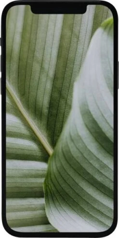 IPhone 12 64GB Premium Refurbished - Schwarz